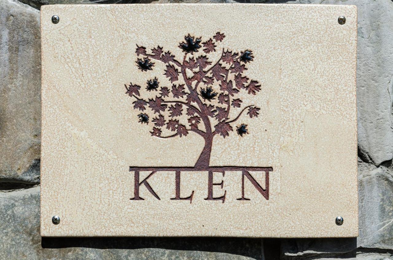 KLEN Family Villa Mykulychyn Dış mekan fotoğraf